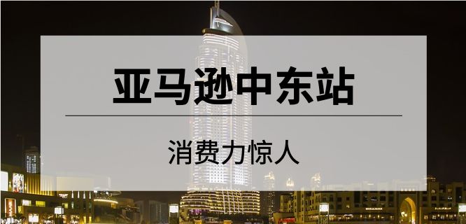 新商机|亚马逊新站点利润这么高？！赶上下一个风口就是个翻盘的机会！