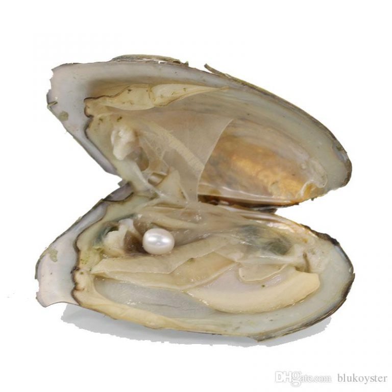 Tophatter平台上禁止出售的商品有哪些？