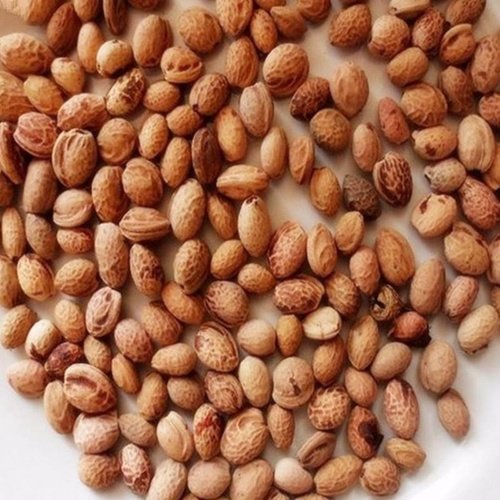 Tophatter平台上禁止出售的商品有哪些？