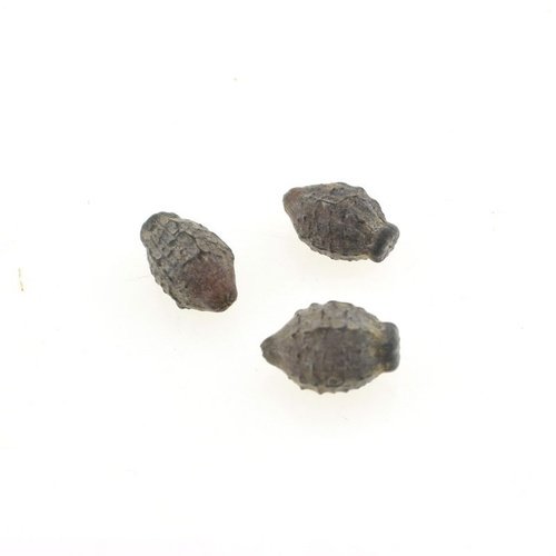 Tophatter平台上禁止出售的商品有哪些？