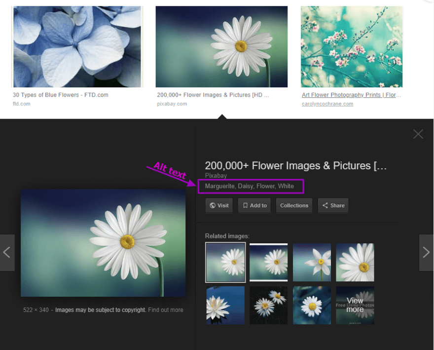 Google SEO：正确优化图像替代文本，提升网页排名的方法