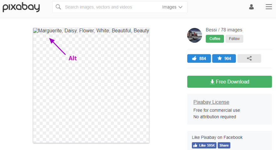 Google SEO：正确优化图像替代文本，提升网页排名的方法