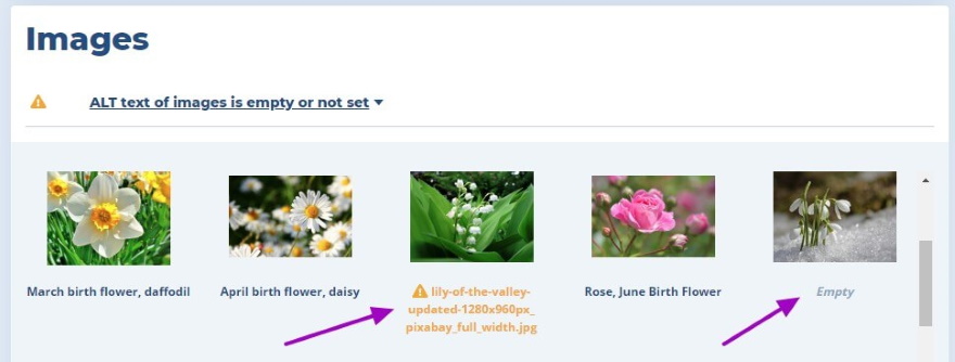 Google SEO：正确优化图像替代文本，提升网页排名的方法