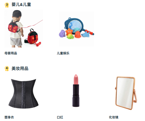 Wish法国蓝海产品类目