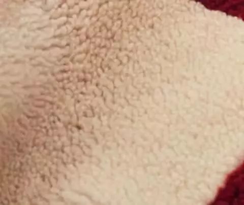 eBay这波指南很稳，Trends for Less助攻旺季来袭！