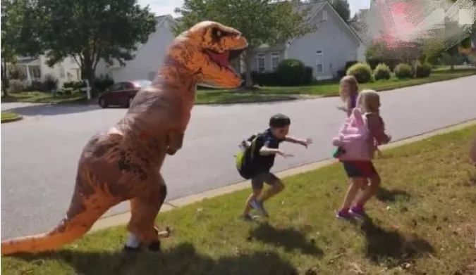 双11前夕海外买家囤货清单：“恐龙”送女友，重力毯取代男人