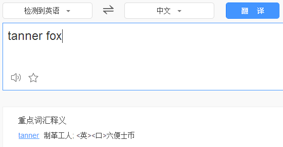 如果懂得用谷歌趋势选品，你就不会错过指尖陀螺这样的爆款