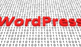 跨境电商独立站卖家必备的5个WordPress插件