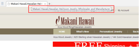 外贸独立站获取免费流量技巧，你都知道哪些？