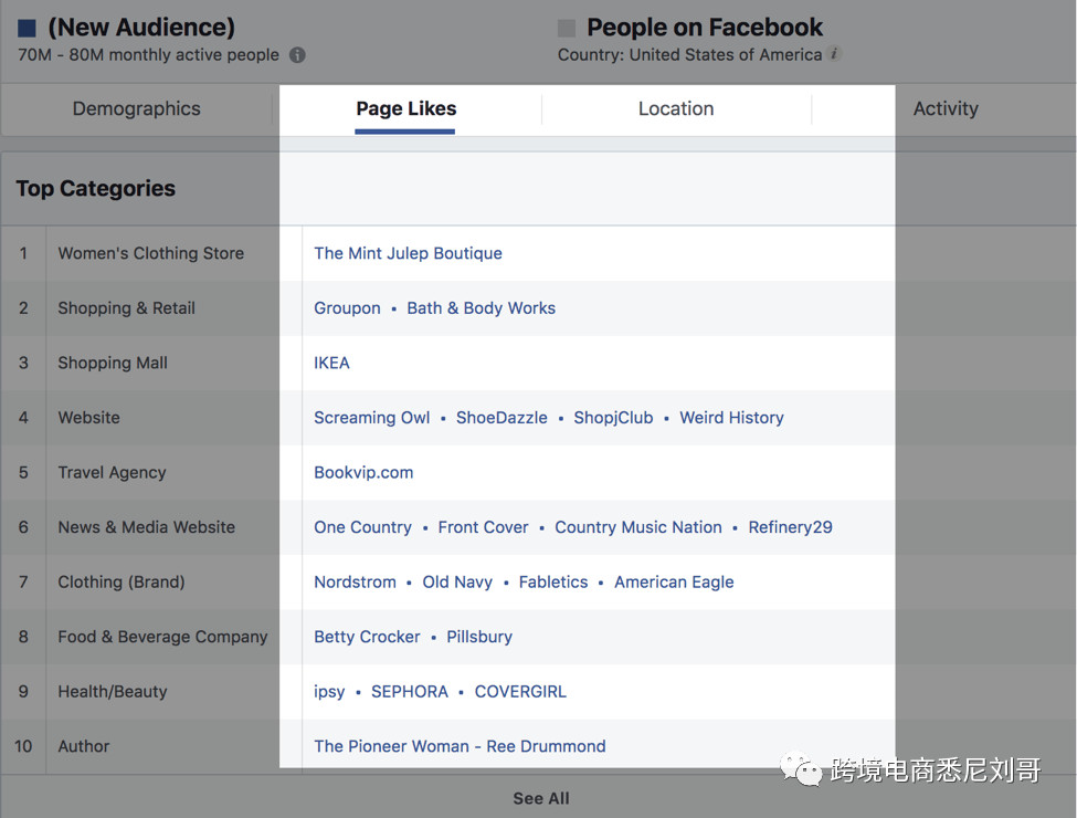 Facebook廣告定位及工具-21天Shopify跨境外貿(mào)獨(dú)立站爆單成長記第16天