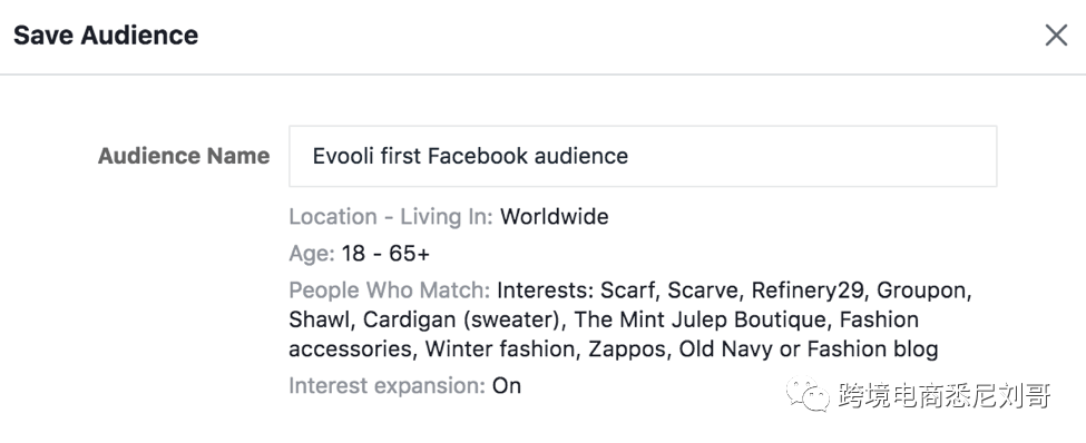 Facebook廣告定位及工具-21天Shopify跨境外貿(mào)獨(dú)立站爆單成長記第16天
