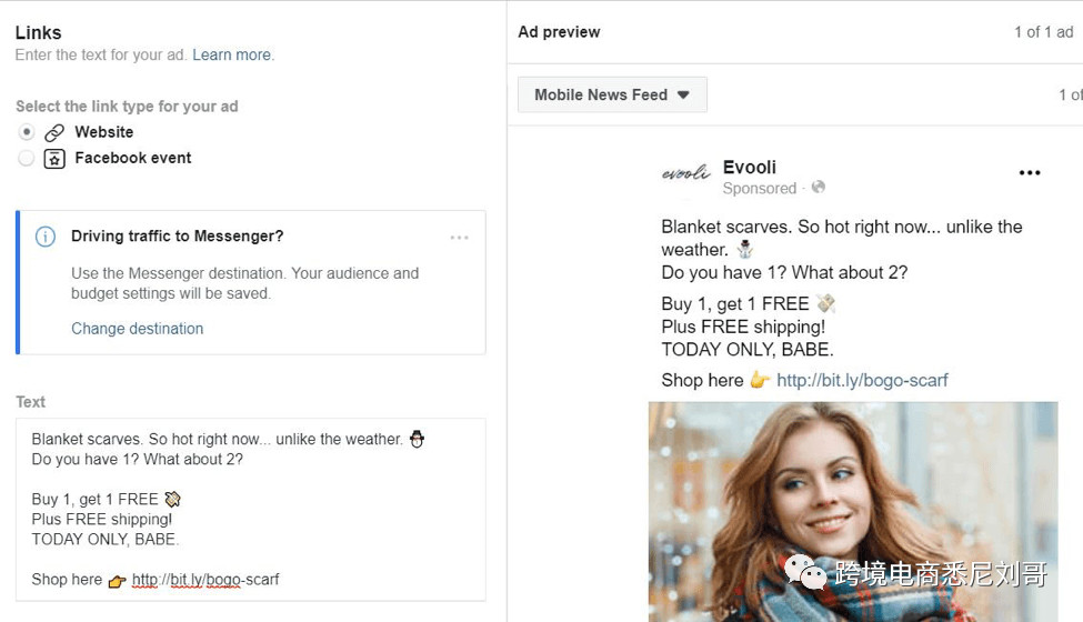 Facebook广告制作和投放-21天Shopify跨境外贸独立站爆单成长记第17天