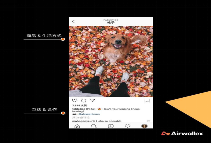 ​如何利用Instagram引流获客，Airwallex空中云汇助力 生活方式新营销