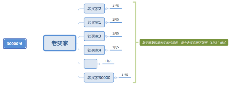 “拆解”跨境大卖10亿销售额：30000死忠粉的裂变法则