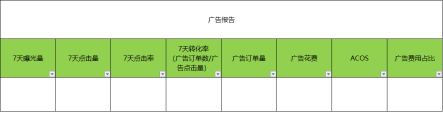 亚马逊LISTING流程化运营系统:产物拉广数据分析