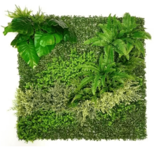 盘点：MercadoLibre阿根廷站2019上半年畅销商品