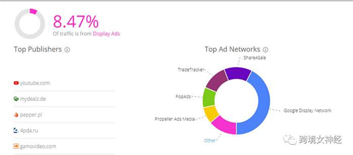 环球易购独立站 - Gearbest.com流量构成分析