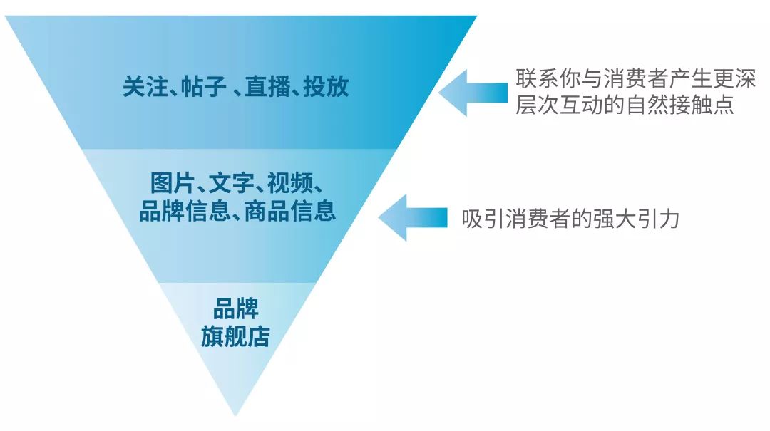 圈粉丝，发帖子，做直播！2020亚马逊广告可以这么玩？？