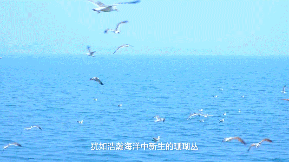 CoralGlobal 全新宣傳片震撼首發(fā)，2020匯智美好而來