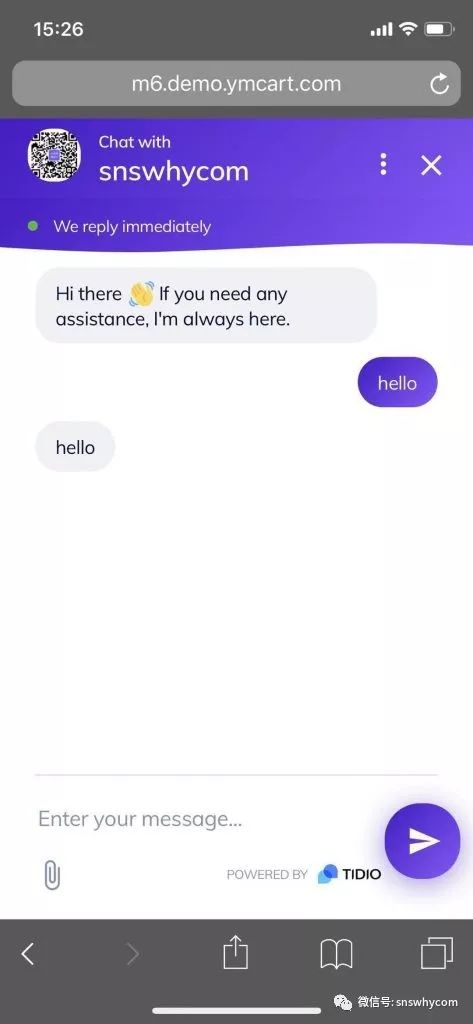 独立站免费在线客服工具tidiochat介绍