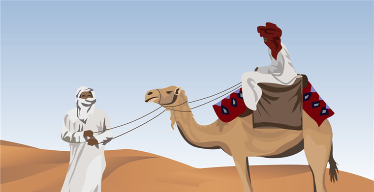 阿联酋电商平台有哪些？阿联酋和中东在线购物网站排行榜，亚马逊领跑