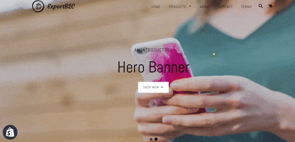 如何提高Shopify页面加载速度？