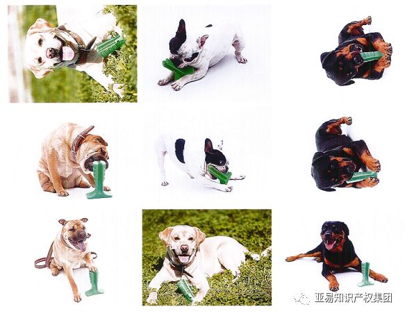 立即下架！BRISTLY 狗狗磨牙棒又出新案,批量卖家被告!【跨境侵权学堂】