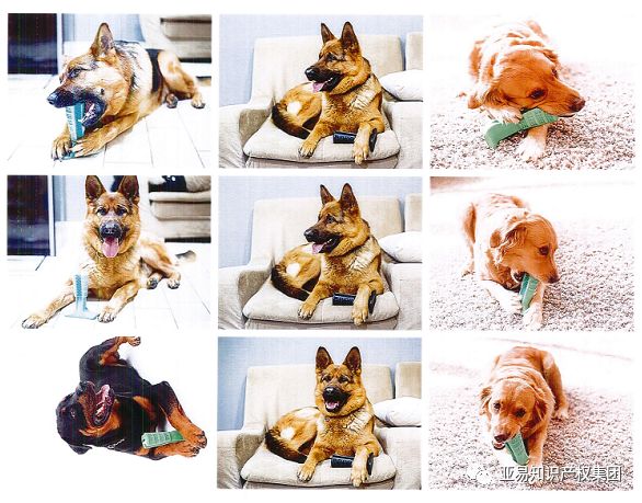 立即下架！BRISTLY 狗狗磨牙棒又出新案,批量卖家被告!【跨境侵权学堂】