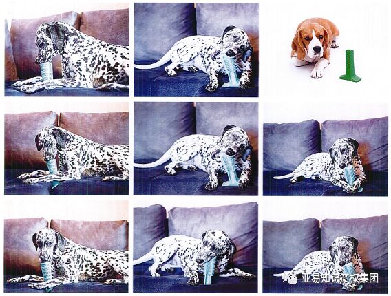 立即下架！BRISTLY 狗狗磨牙棒又出新案,批量卖家被告!【跨境侵权学堂】