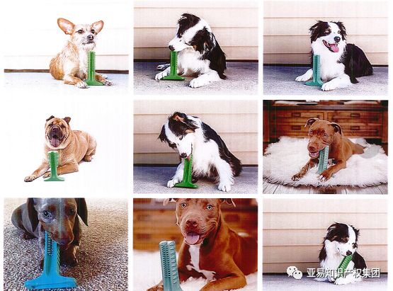 立即下架！BRISTLY 狗狗磨牙棒又出新案,批量卖家被告!【跨境侵权学堂】