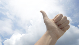 Wish：卖家风控意识提升表现更稳，2020平台将重点扶持这4类卖家