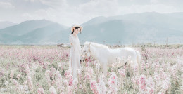 婚纱礼服--FB内容营销攻略