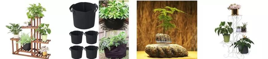上线8个月突破$300万！外国人倒腾自家庭院蕴藏巨大商机