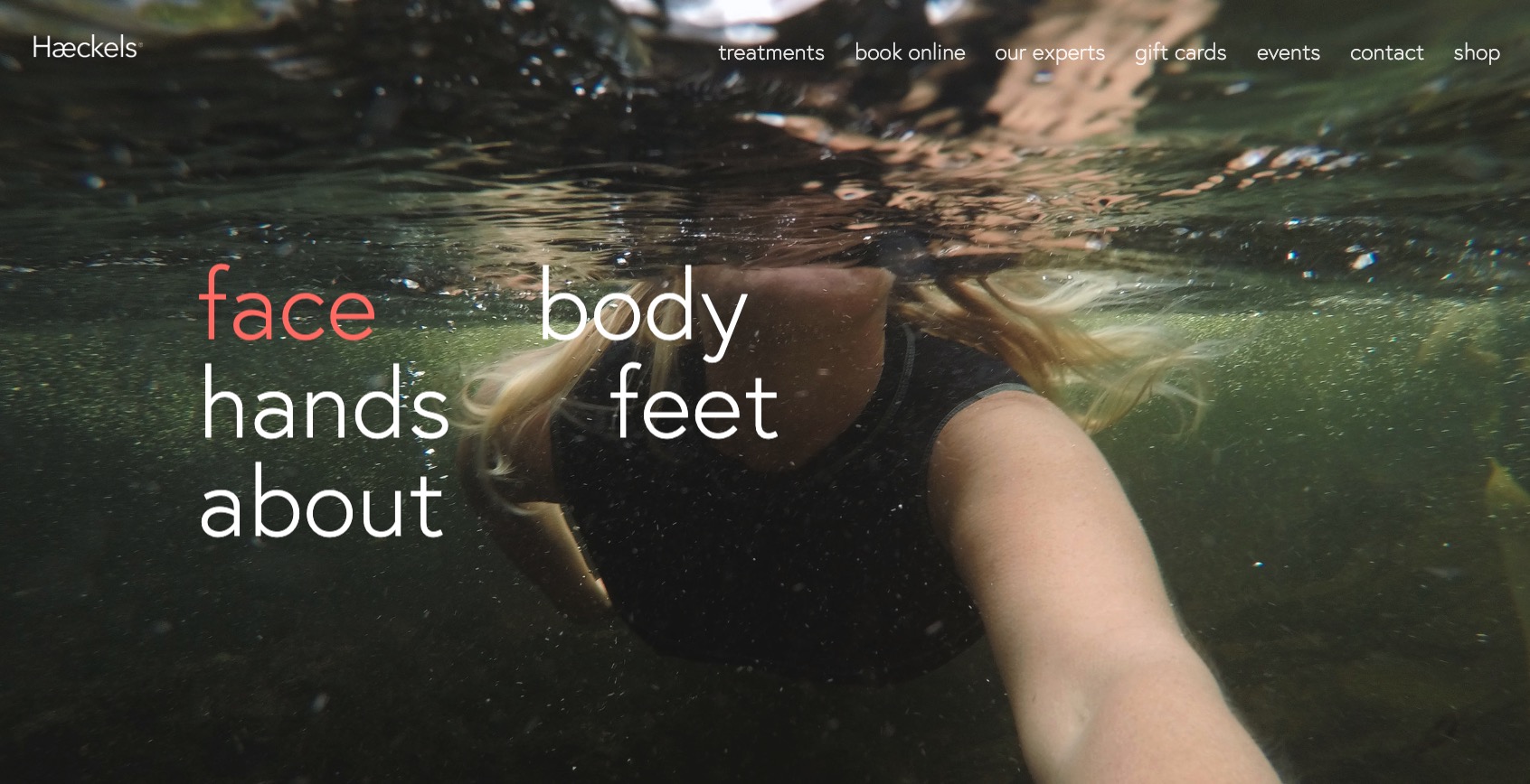 盘点40个shopify网站设计