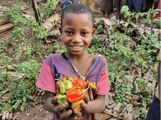 非洲兴起盒马村，eWTP让普惠贸易成为新风尚