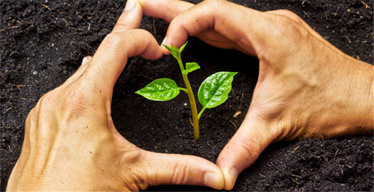 跨境电商“抗”疫情②：（最新）出口电商平台都发布了哪些卖家保护政策？