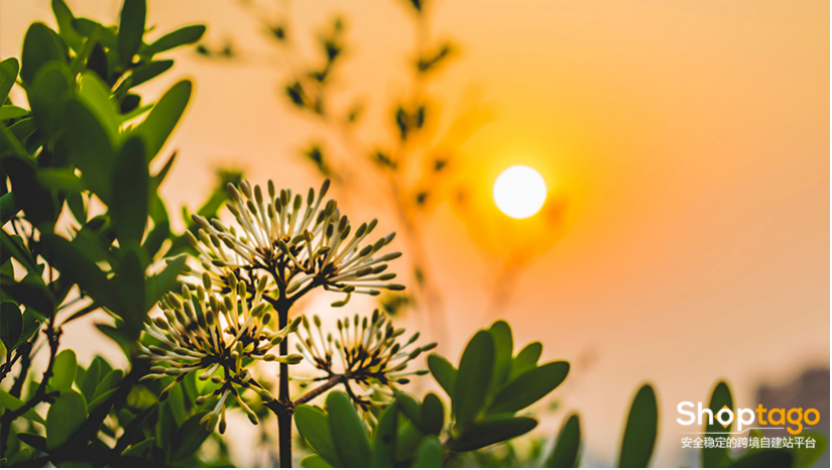 疫情抗争，跨境电商人要做什么？能做什么？