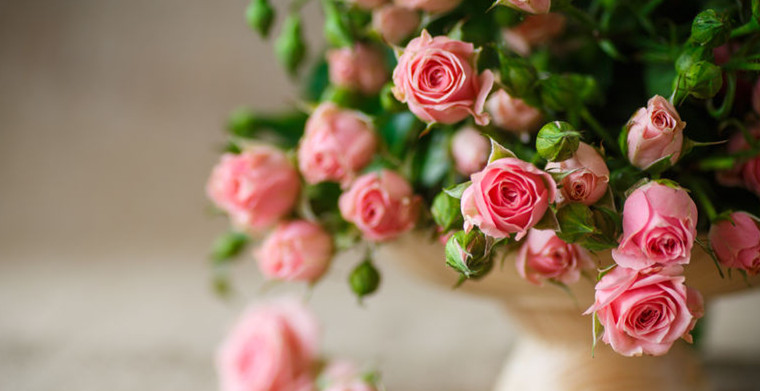 疫情期间内功修炼,摸透eBay家居园艺百亿海外市场与各大零售商,共盼春来!