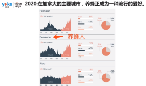 运营实操：2020年亚马逊选品热门方向与利基类目介绍