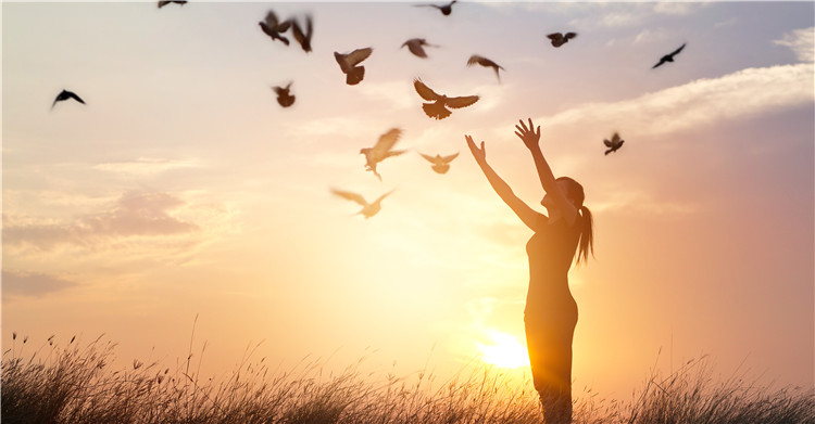 2020年跨境新机遇Kilimall——通往非洲电商市场的入口