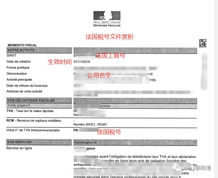 Amy聊跨境:跨境VAT-英德意法西5国转代理所需要的基本资料以及VAT税号证书长什么样?