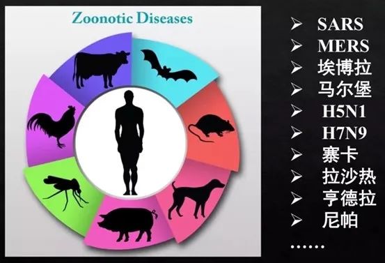 下线9千家店铺！终于，我国全面禁止非法野生动物交易
