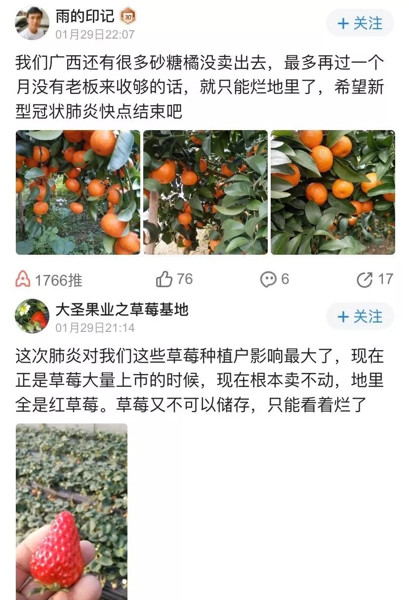 疫情重创之下，外贸饭碗不保？！