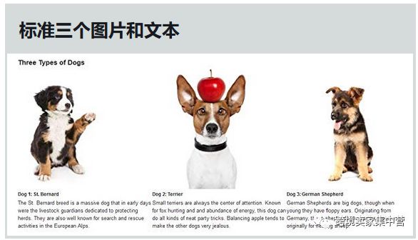 亚马逊新手卖家应该怎样优化产品listing（4）