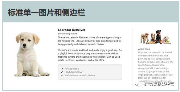 亚马逊新手卖家应该怎样优化产品listing（4）