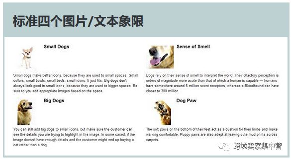 亚马逊新手卖家应该怎样优化产品listing（4）