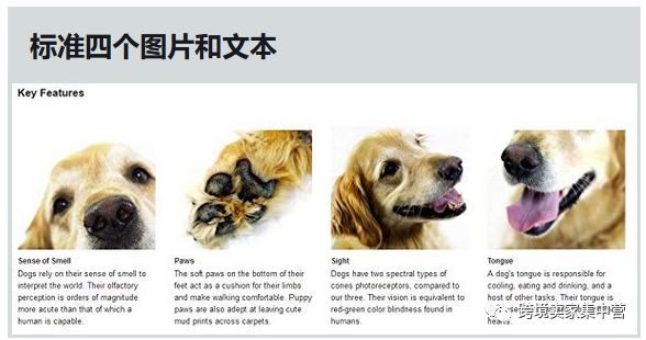 亚马逊新手卖家应该怎样优化产品listing（4）