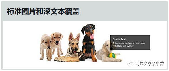 亚马逊新手卖家应该怎样优化产品listing（4）