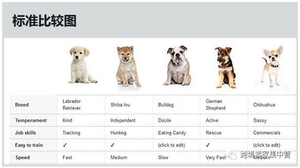亚马逊新手卖家应该怎样优化产品listing（4）