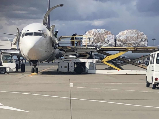 持续抗“疫”，豌豆公主包机运输5万余件紧缺物资